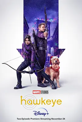 鹰眼Hawkeye